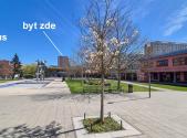 Prodej bytu, 2+kk, 40 m²