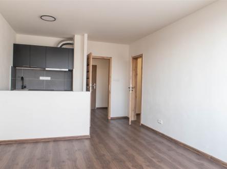 Pronájem bytu, 1+kk, 29 m²