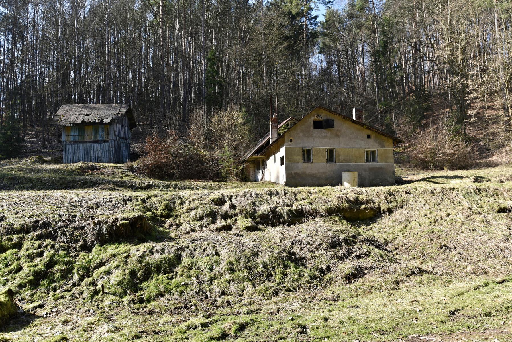 DSC_0376.JPG