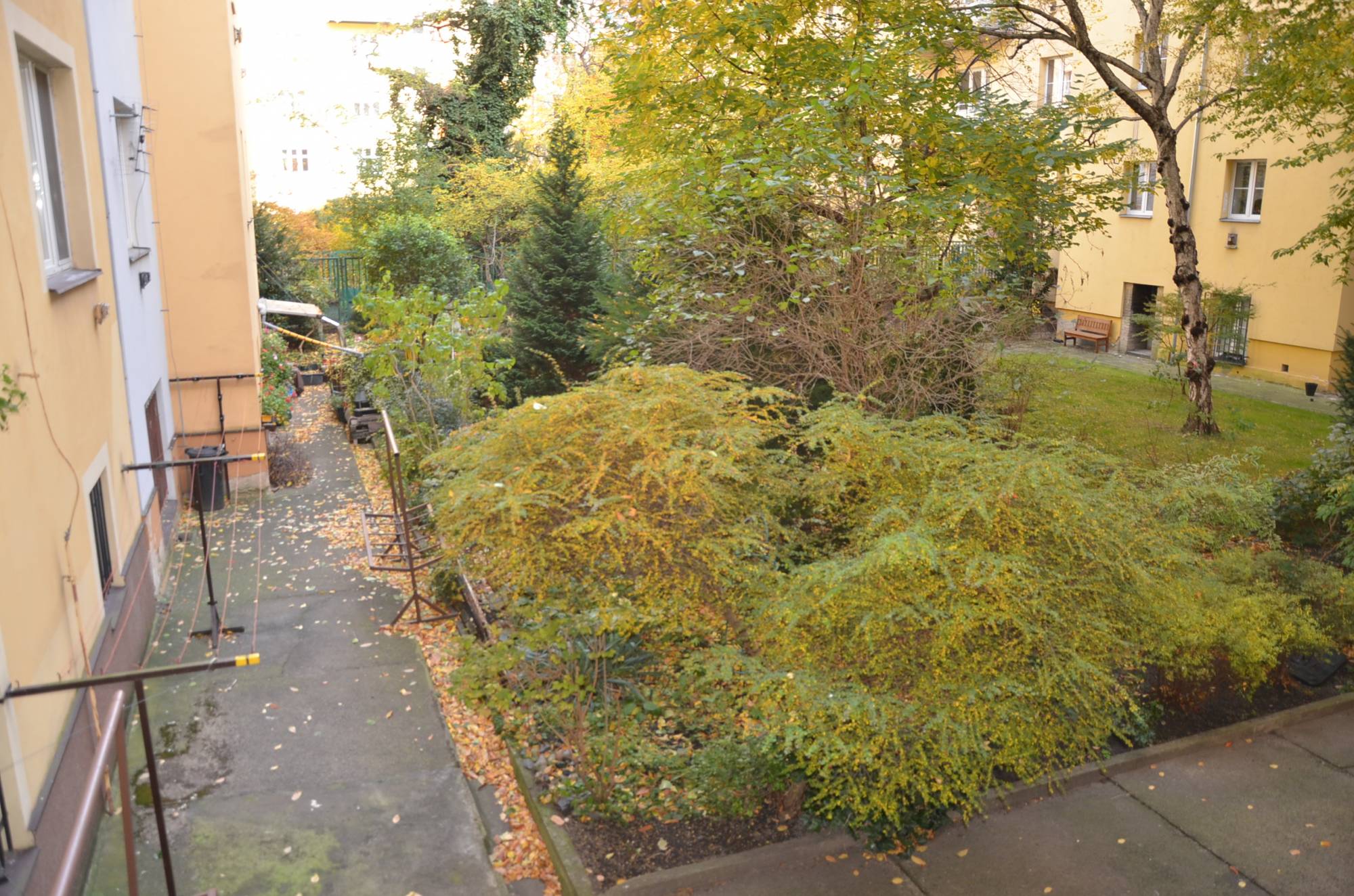 Fotku se nepodařilo načíst.