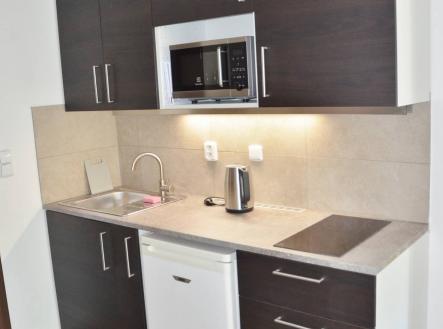 Pronájem bytu, 1+kk, 25 m²