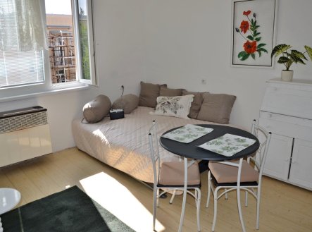 Pronájem bytu, 1+kk, 28 m²