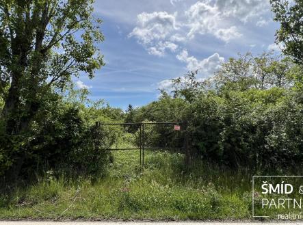 Pronájem pozemku, zahrada, 800 m²