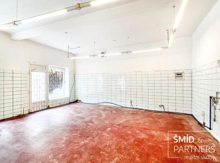 Prodej obchodní prostory, 196 m²