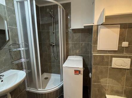 Pronájem bytu, 1+kk, 41 m²