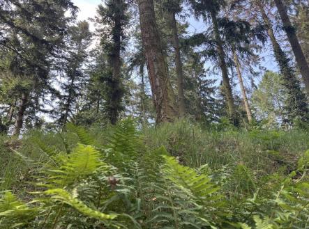 Prodej pozemku pro bydlení, 2 303 m²