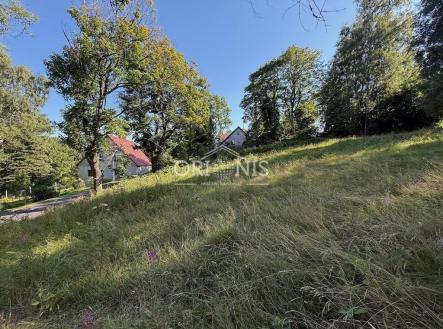 Prodej pozemku pro bydlení, 800 m²