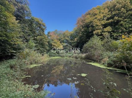 Prodej penzion, 600 m²