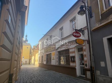 Pronájem domu/vily, 250 m² obrázek