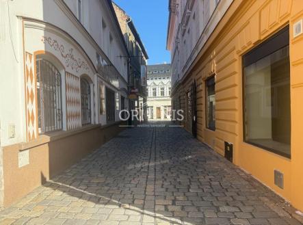 Pronájem domu/vily, 250 m²