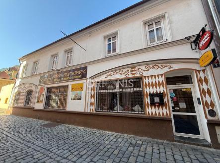 Pronájem domu/vily, 250 m²