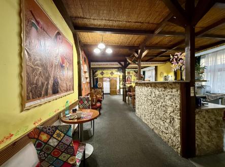 Pronájem domu/vily, 250 m²