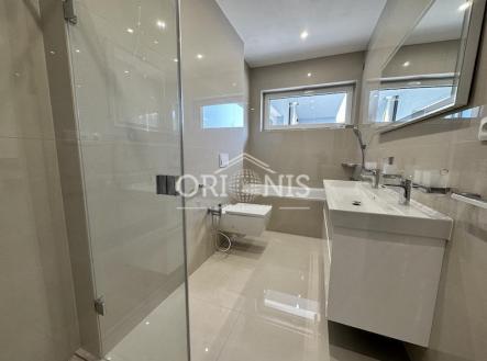 Pronájem domu/vily, 110 m²