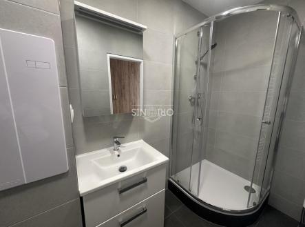 Pronájem bytu, 2+1, 52 m²