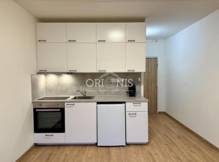 Pronájem bytu, garsoniéra, 21 m²