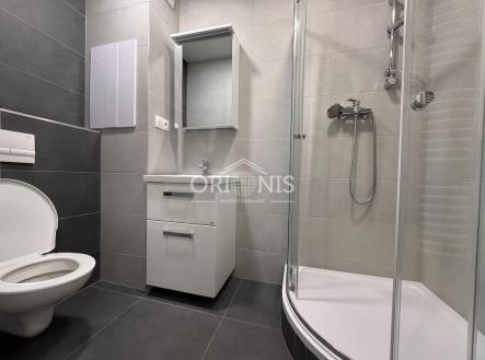Pronájem bytu, 2+1, 52 m²