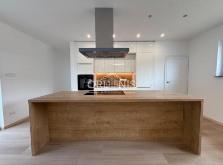 Pronájem domu/vily, 110 m²