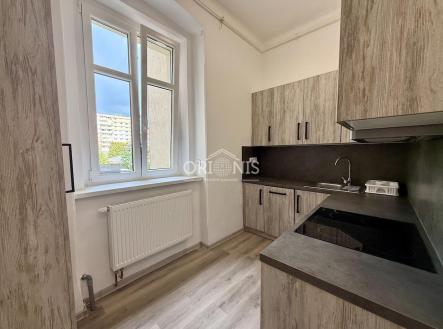 Pronájem bytu, 1+1, 41,5 m²