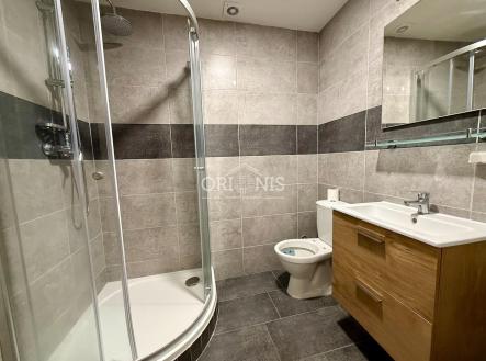 Pronájem bytu, 1+1, 41,5 m²