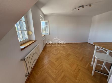Pronájem bytu, 1+1, 57 m²