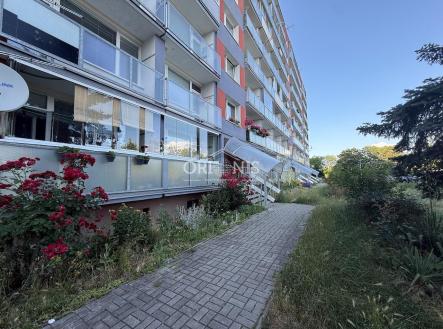 IMG_6567.jpeg