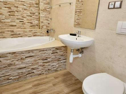 Pronájem bytu, 1+kk, 25 m²