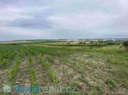 Prodej - pozemek, zemědělská půda, 1 382 m²