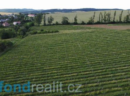 Prodej pozemku, ostatní, 7 374 m²