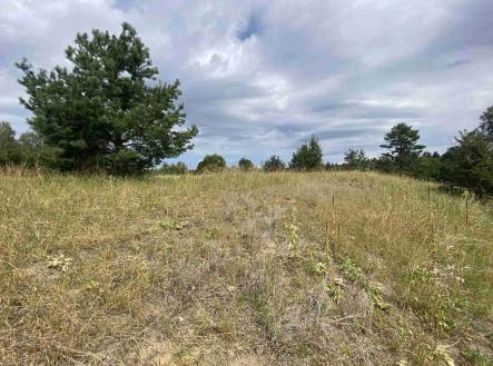 Prodej pozemku, ostatní, 6 986 m²