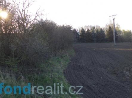 Prodej pozemku, zemědělská půda, 3 481 m²