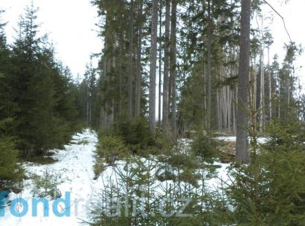 Prodej pozemku, ostatní, 19 660 m²