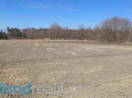 Prodej pozemku, zemědělská půda, 10 919 m²