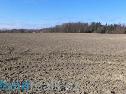 Prodej pozemku, zemědělská půda, 10 919 m²