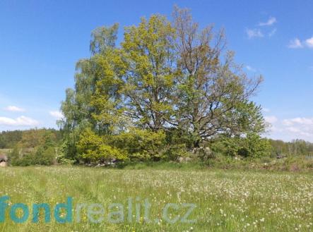 Prodej pozemku, ostatní, 319 m²