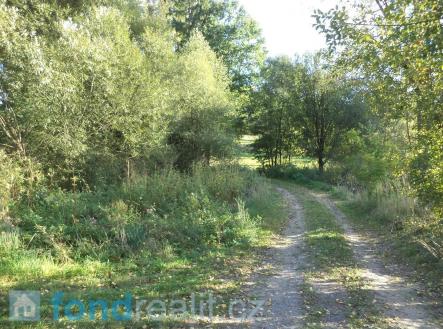 Prodej pozemku, ostatní, 313 m²