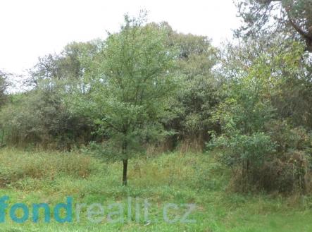 Prodej pozemku, ostatní, 3 639 m²