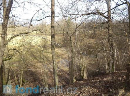 Prodej pozemku, ostatní, 22 234 m²