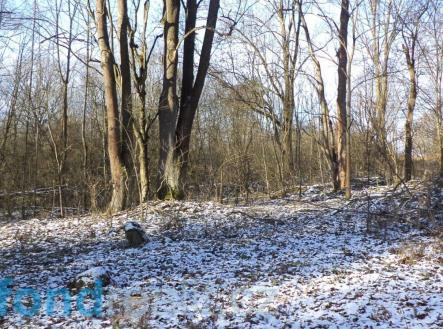 Prodej pozemku, ostatní, 3 575 m²