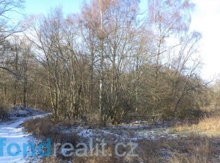 Prodej pozemku, ostatní, 3 575 m²