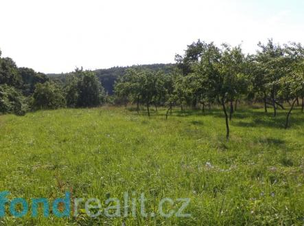 Prodej pozemku, ostatní, 1 688 m²