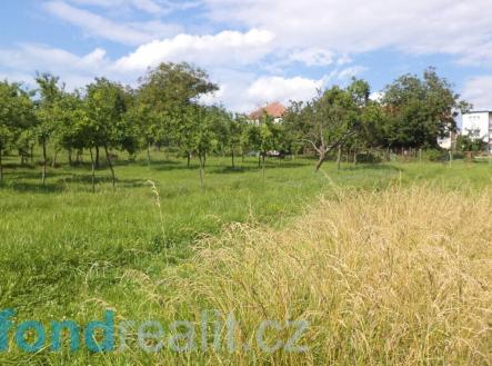 Prodej pozemku, ostatní, 1 688 m²