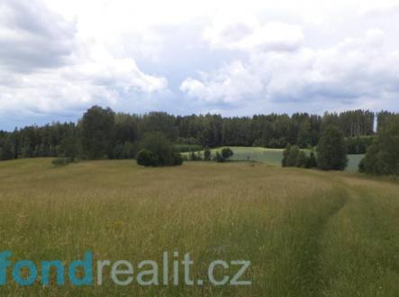 Prodej pozemku, zemědělská půda, 19 541 m²