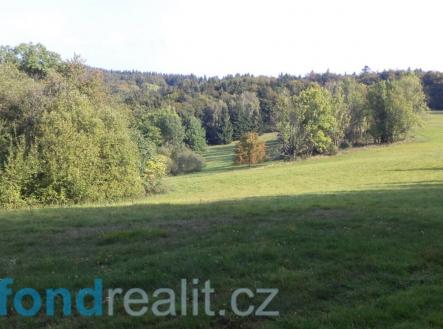 Prodej pozemku, zemědělská půda, 10 621 m²