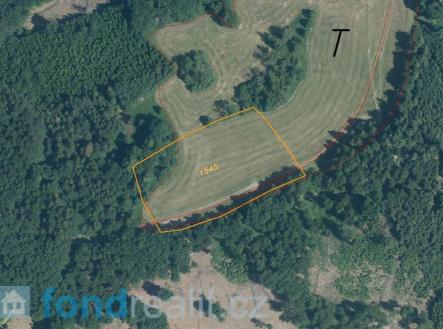 Prodej pozemku, zemědělská půda, 10 621 m²