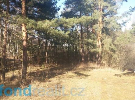 Prodej pozemku, ostatní, 10 115 m²