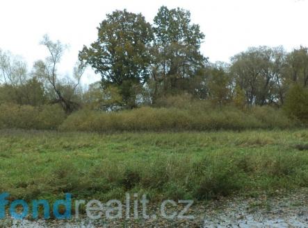 Prodej pozemku, ostatní, 10 115 m²