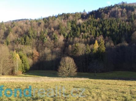 Prodej - pozemek, zemědělská půda, 6 904 m²