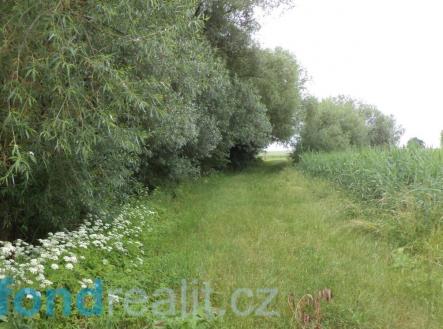 Prodej pozemku, ostatní, 4 172 m²