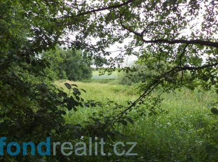 Prodej pozemku, ostatní, 4 172 m²