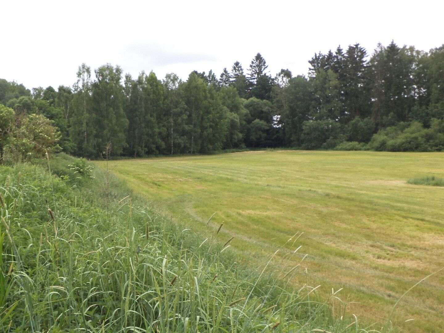 Prodej pozemků Mirochov